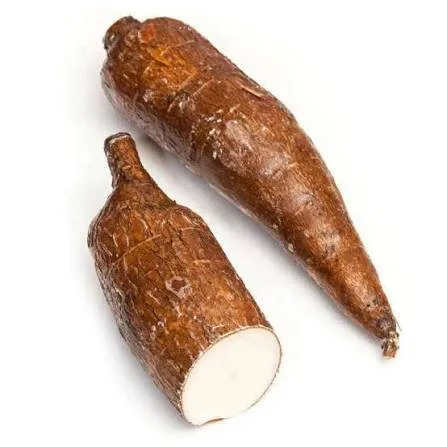 Cassava Fresh