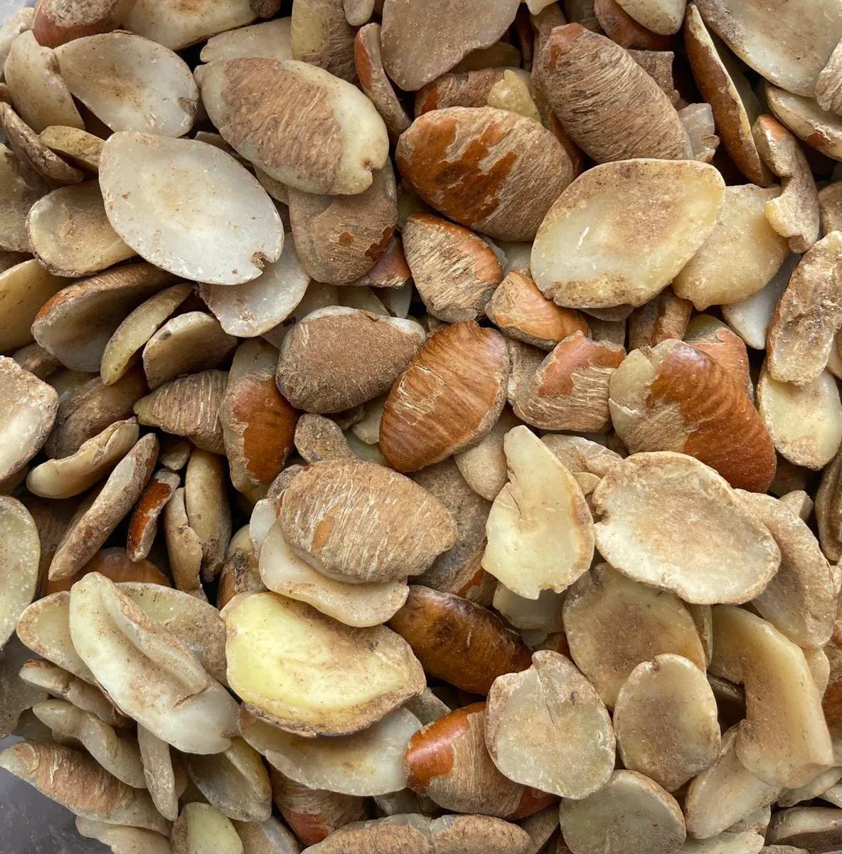 Whole Ogbono Seeds 1kg