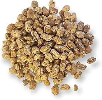 African Calabash Nutmeg 50g
